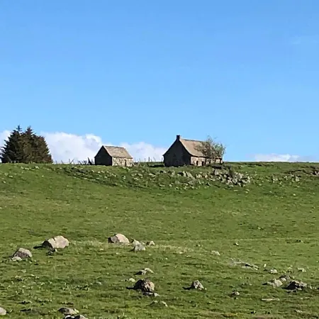 Maison Foret D'Aubrac , Au Coeur De La Nature Prades-d'Aubrac Exterior photo