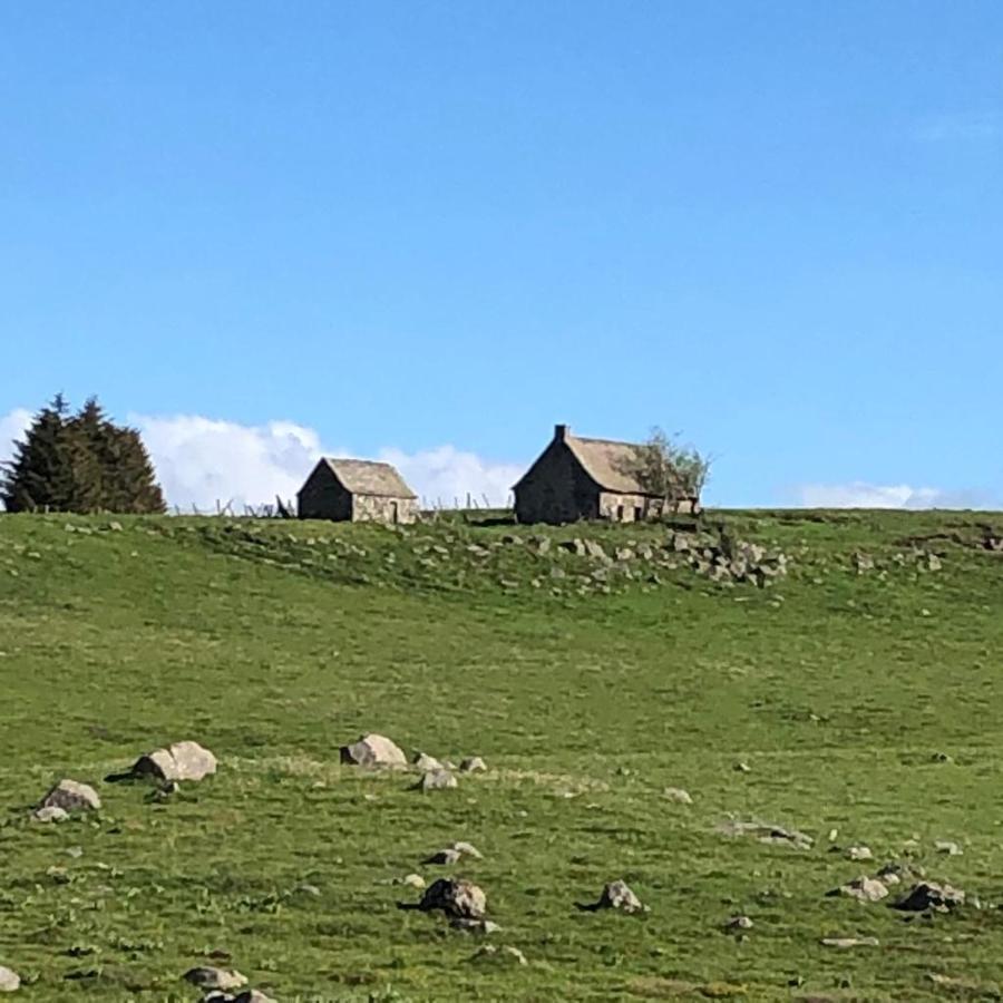 Maison Foret D'aubrac , Au Coeur De La Nature Holiday home *